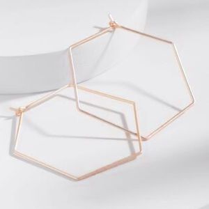 NWT Hexagon Hoop Earrings